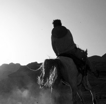 电话狂轰滥炸软件